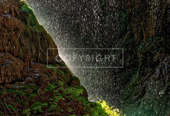 Westcave Preserve